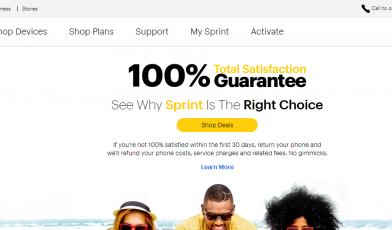 Best Value in Wireless Sprint Logo