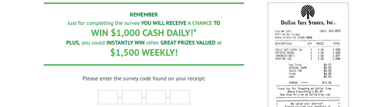 Dollar Tree Stores Survey