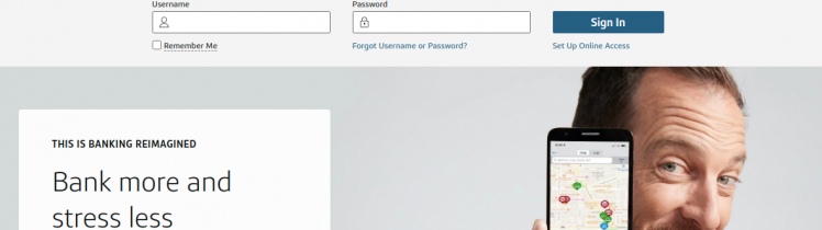 Capital One Credit Card Logo