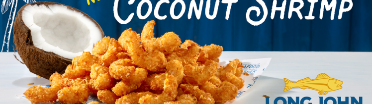 mylongjohnsilversexperience.com