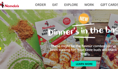 Nando's Survey Guide