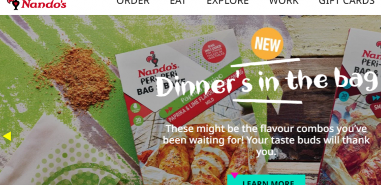 Nando's Survey Guide